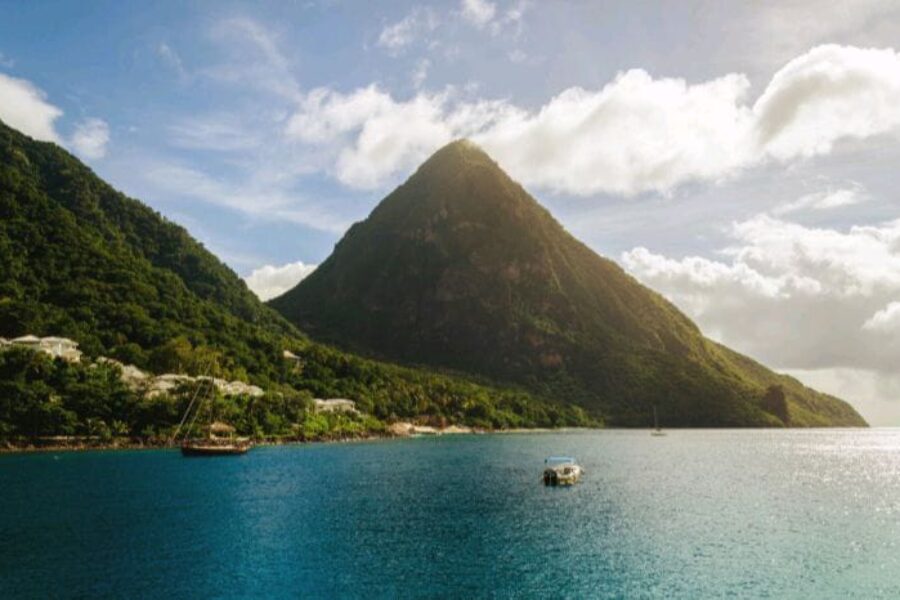 Hiring a COO as a Service: Why It Could Be Your Secret Weapon